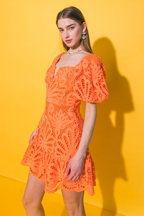 lifetime-celebrations-lace-mini-dress Flying Tomato-Sophia's Style-7